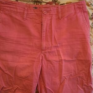 Old Navy Old Brick Casual Shorts